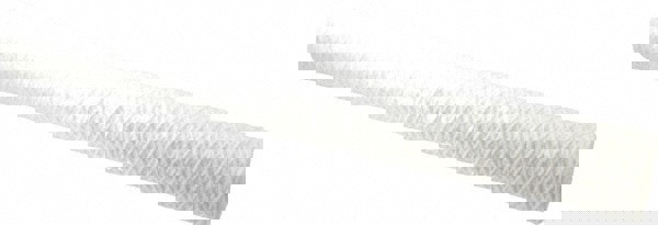 Plumbing Cartridge Filter: 2-1/2